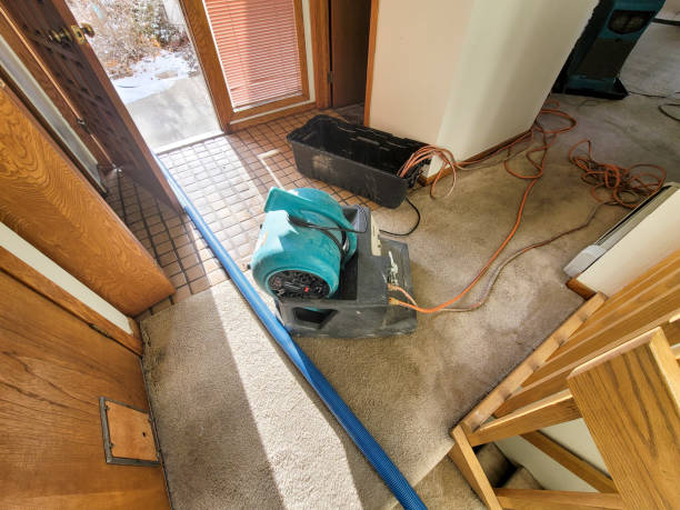 Best Flooded house restoration  in Union, MO