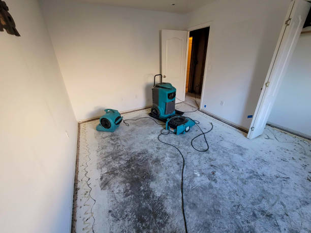 Best Water damage restoration near me  in Union, MO