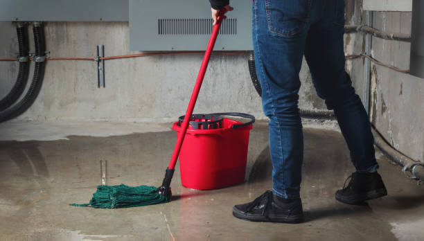 Best Water damage mitigation services  in Union, MO