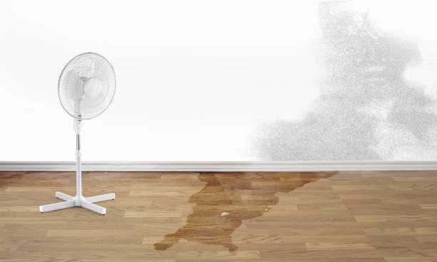 Best Local water damage restoration  in Union, MO
