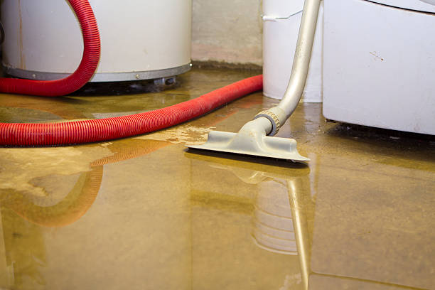 Best Fire Damage Restoration  in Union, MO