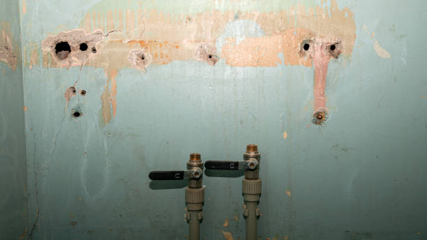 Best Water damage cleanup near me  in Union, MO