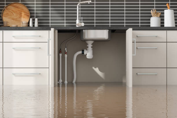 Best Local water damage restoration  in Union, MO