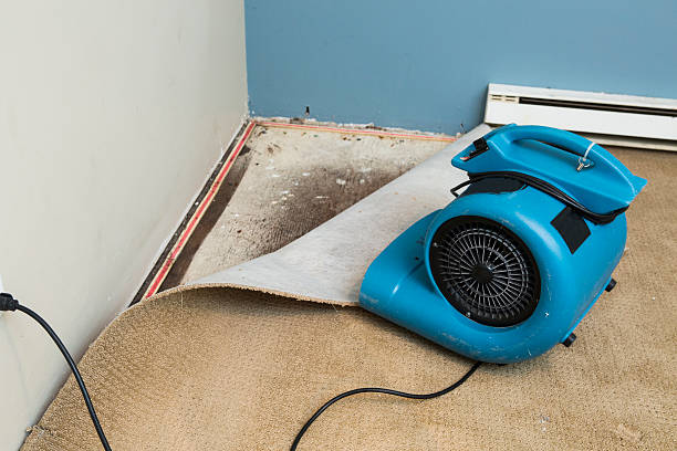 Best 24/7 water damage repair  in Union, MO